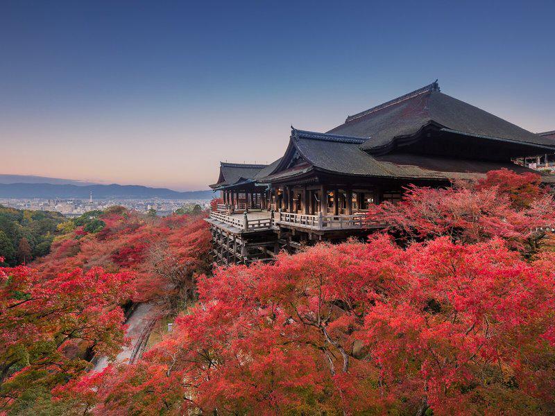 40F10F92F82D73768B5DE8E22753427D