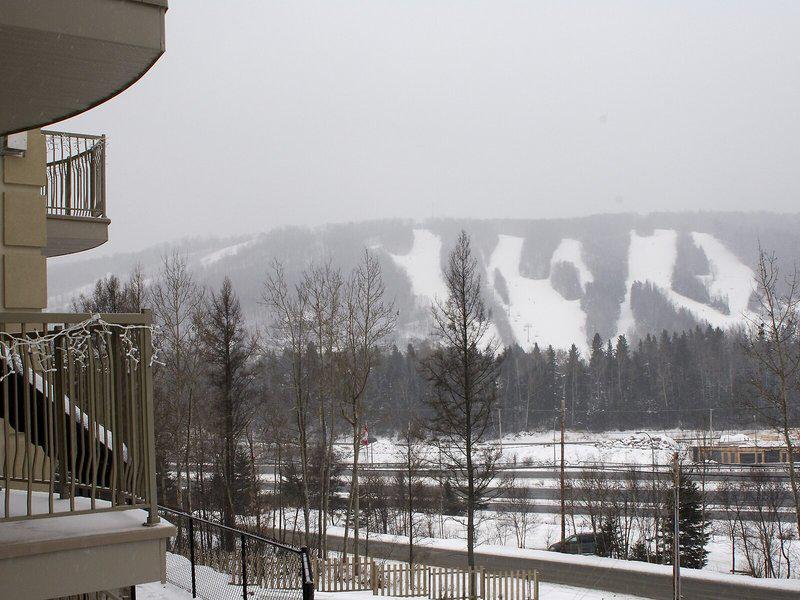 565EAA68B225BF91D84AF68C7A5D3450