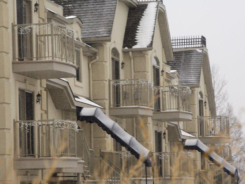 23E41FA06C44D2684C67B37CE4B59B85