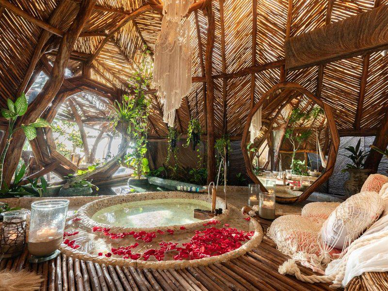 C8EFD6DAE7852CFDE124CD4703478158