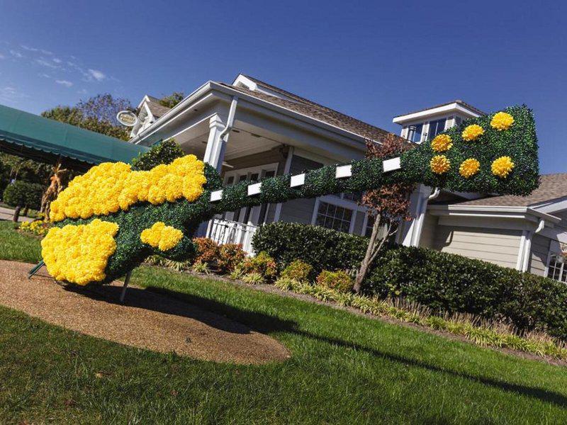 60A97969F20B8CE3A0CB01C06296C616