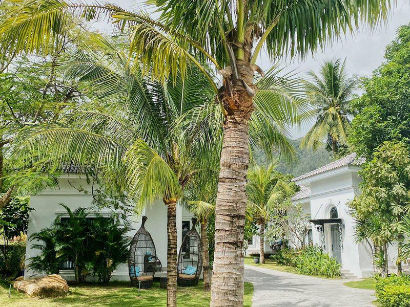 4B620BB36926F9FDA10283D66E64F316