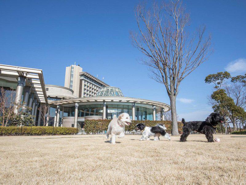 8BE9051808A7A8D4E0CCEECE583E9B3C