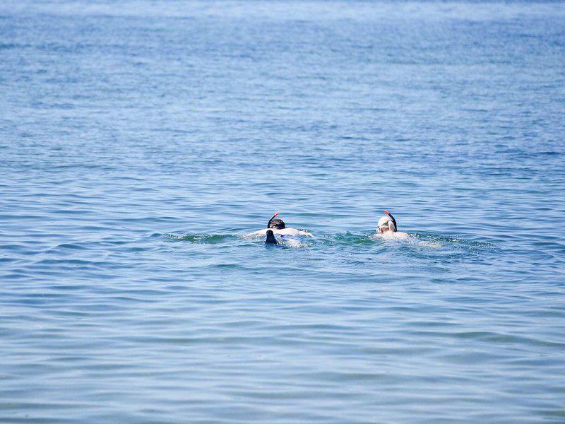 DC1B55EC7B2F750691F04815EE4BB58D