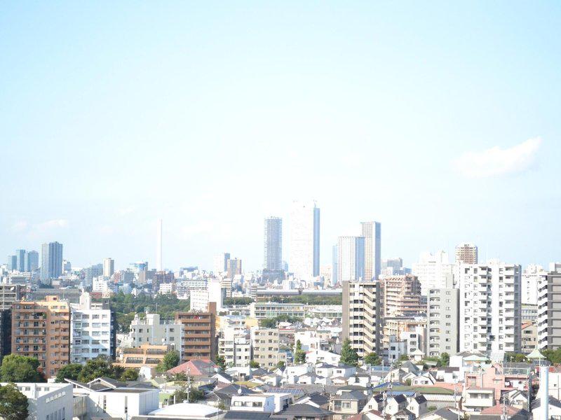 92C5AED860785D95489F203E3D951E2B