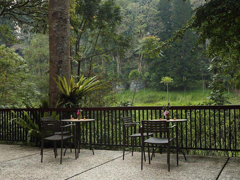 D2356A48F8D03A9448E7FC9FA29431DB