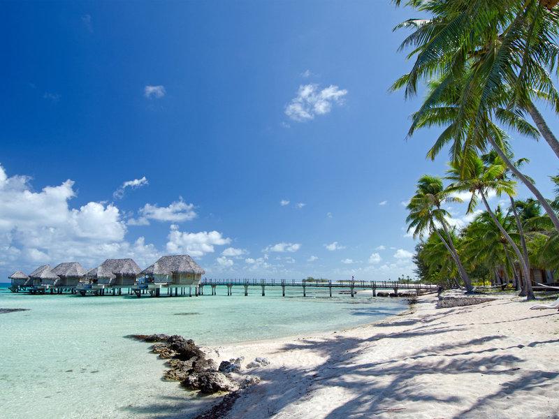 645BC6B6C1926EE7CC786AE7E9571305