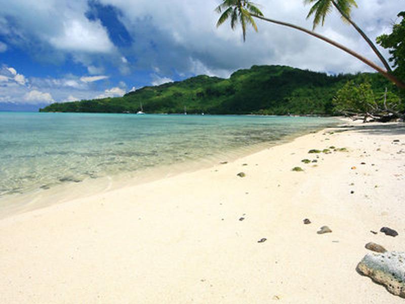 A934A8F01B8F8422AF0ED37726A41FFC