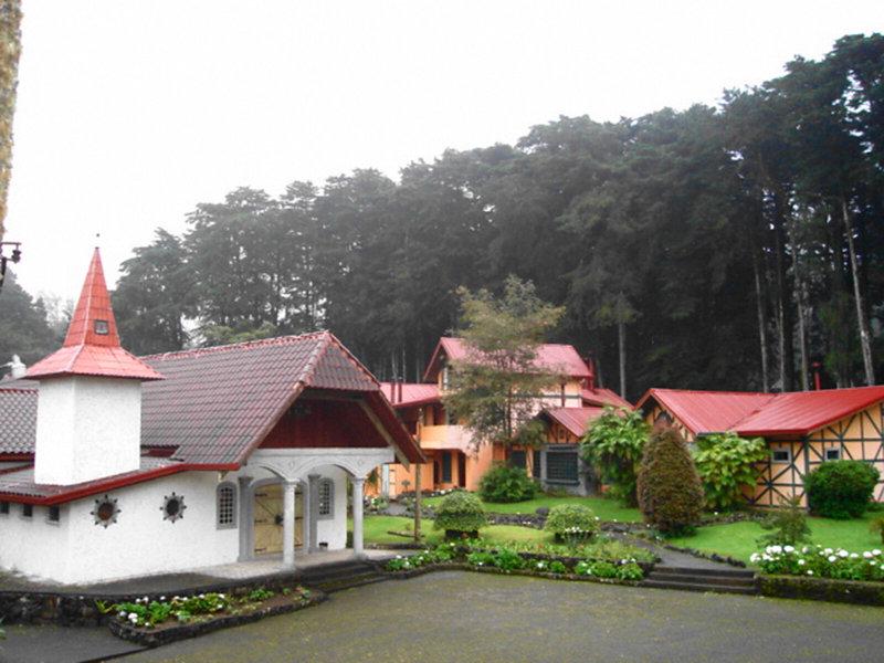 EDE75BCF58C48131E784F54440D2261C