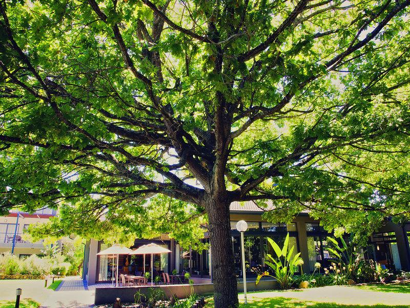 4CFFC2D5EE9909A2579437BD0CF4963B