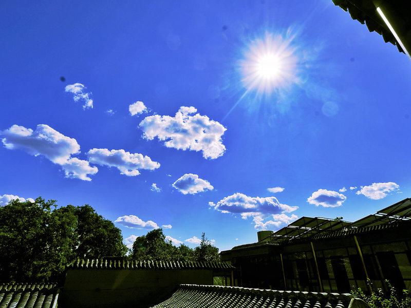 2B918627A2E8B528437F74196B9BDDDF