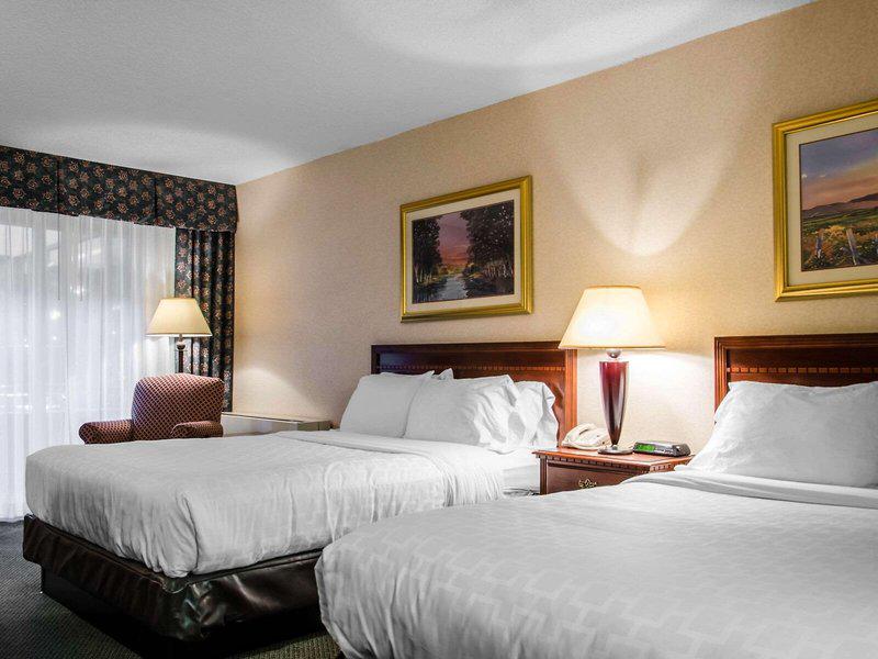 4243F123A41C38E28B716DC2A5EDD79D