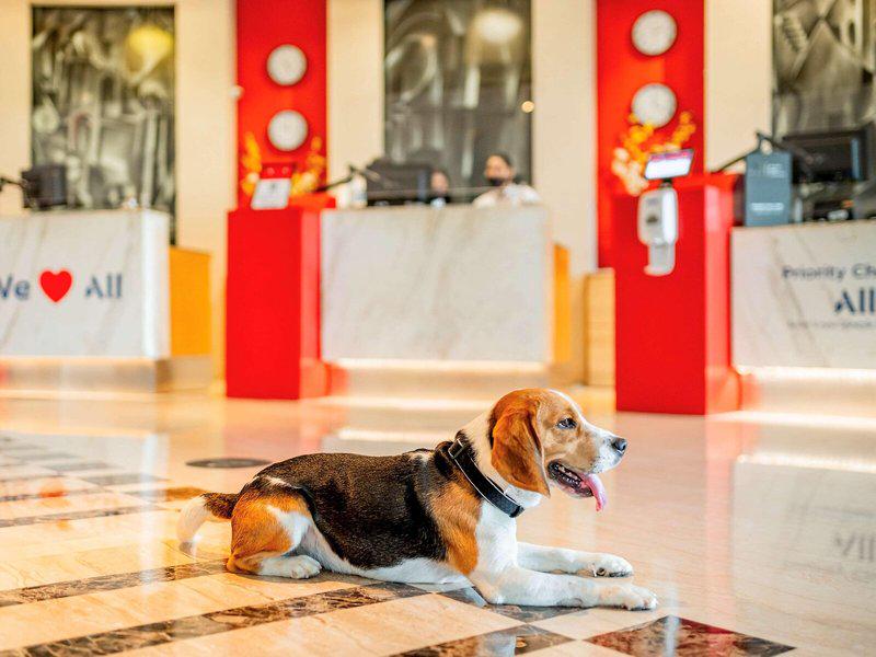 4A427EC2B8B0389071F74D8039B3C12F