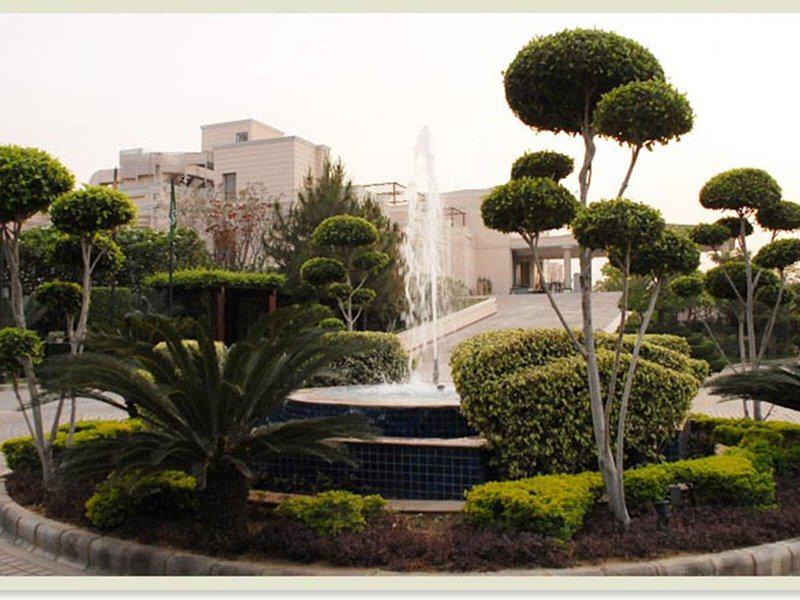 171F063858AB9DF1538C4E24A37A8D1A