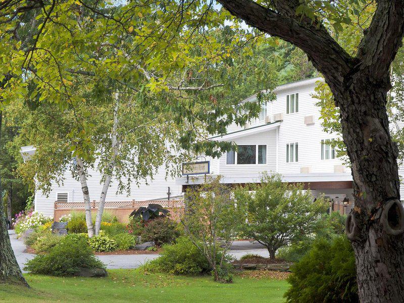 65B62B873CE977E98FD516E1D9CA7DFD