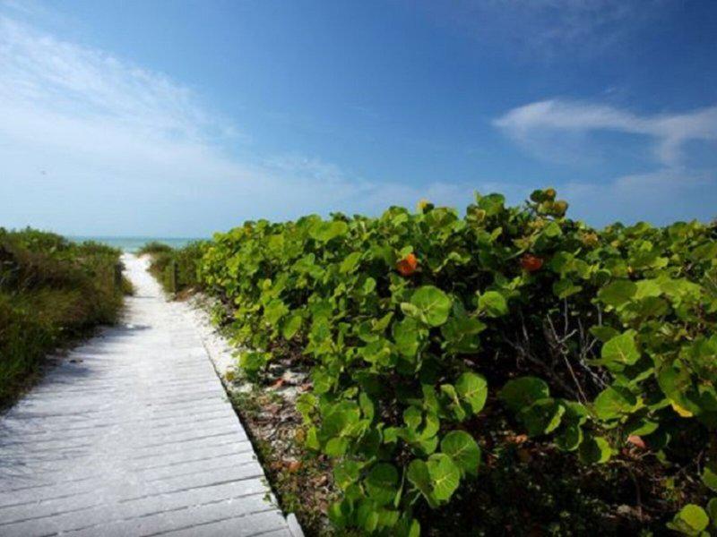 E5E73BF0C52DCA58F4A2B4CA93EA81A5