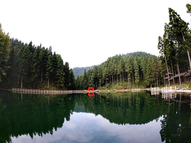 FF70A3D7CD54C72B20D79E7FDA334809