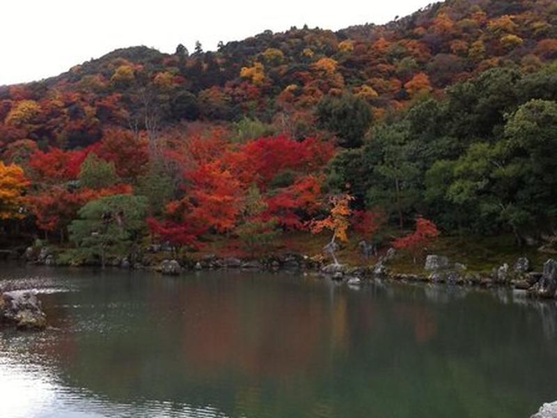 7A1EA7200777B5A7CB22453FBA6AE393