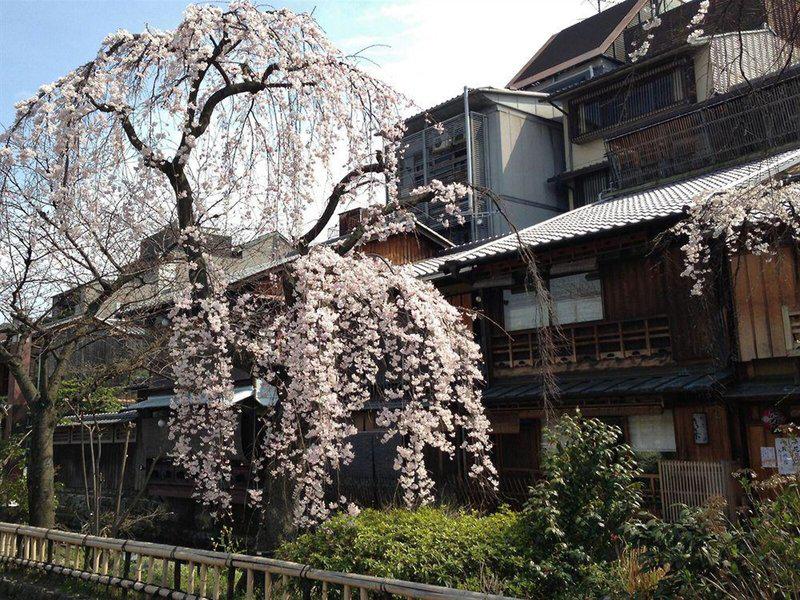 AB537ED8D33D15BD399B7D0DC61E7296