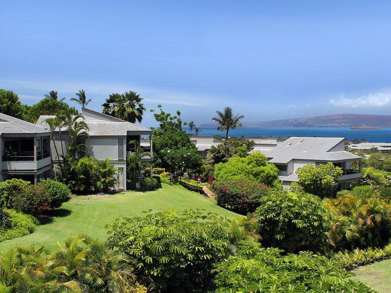 86D884DA7341B6985C6A2748EBD07E49