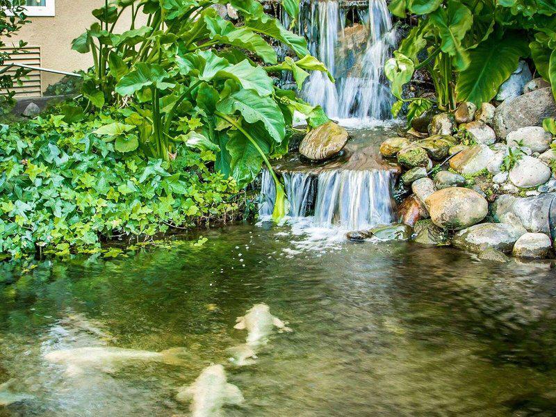 C85FF580370692A8BE43182DF1811706