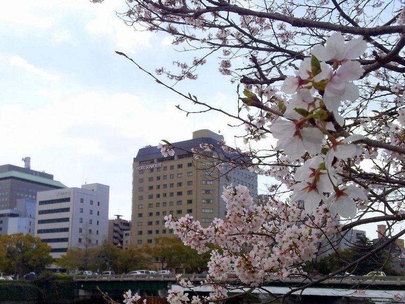 E3F9BA71DDF54E6DAAE436B67B2ABBA7