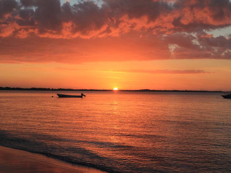 18CADA6195FE42345B838B143B9333F6