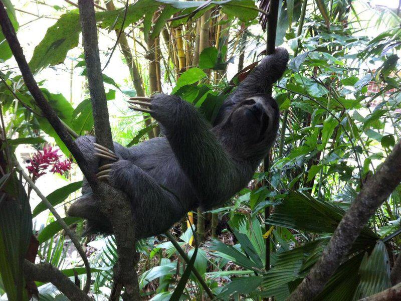 48EF0C91A261F6B0DA811A772B7CC652