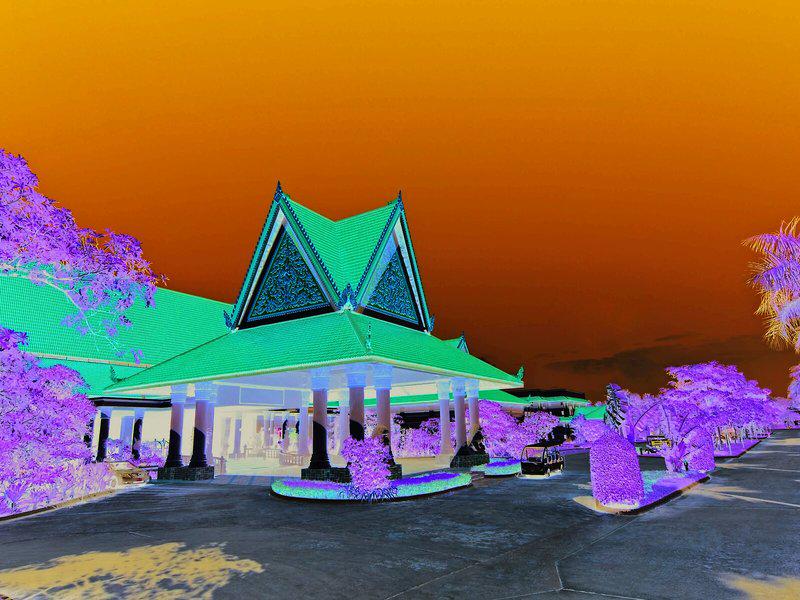 49B41B2D612A10580CB700B3E3DFE490