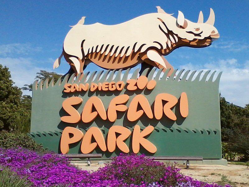 30ECC67CAF3F5E2FA43A56449BC09C64