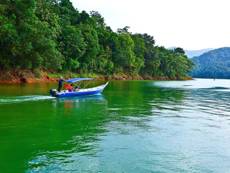 F8196AB1137C0406125822A165A8FC2E