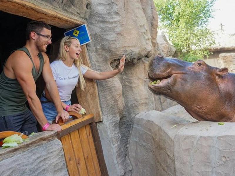 F3EC980AD03F25C627FCA0A0A44F35ED