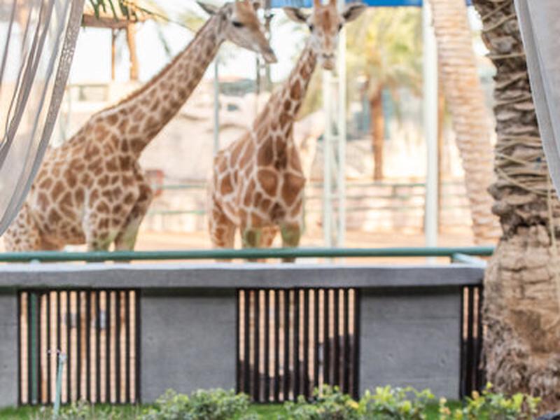 01A9FBBEC9F972EB6CF30984232BA5FE