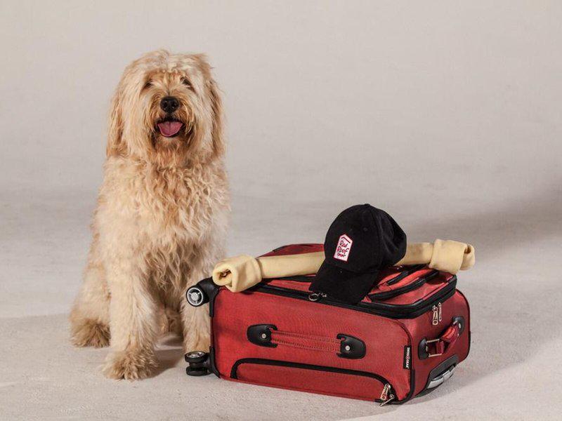 8A027114235696F74F722FB74B219F22