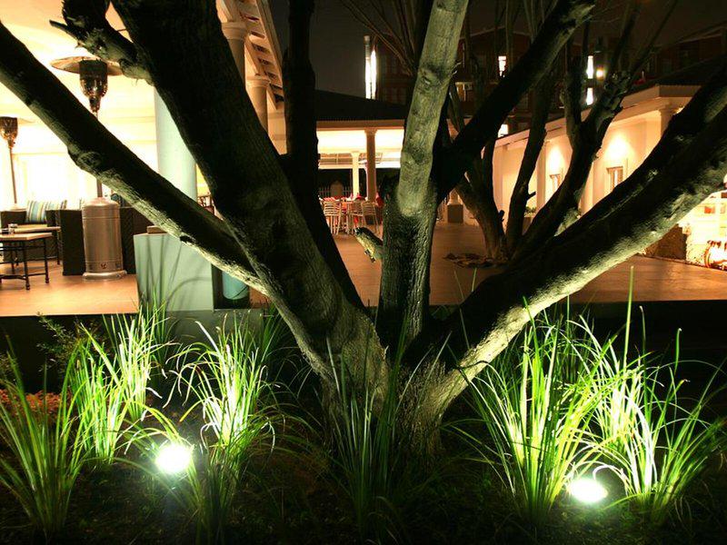 2526B7F50DFBE89E797FFE5A4EA11D66