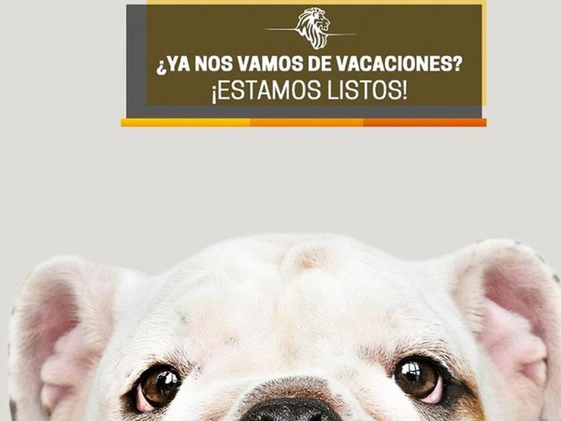 D7BC97103CE85C4B1D18D1E85C1A8935