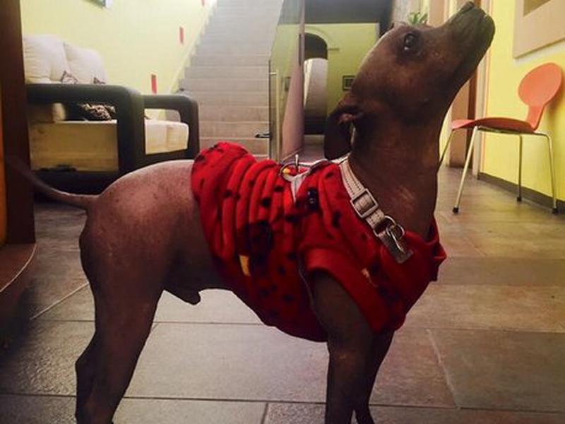 937F619221BEF95EE481E76BE9FDABF6