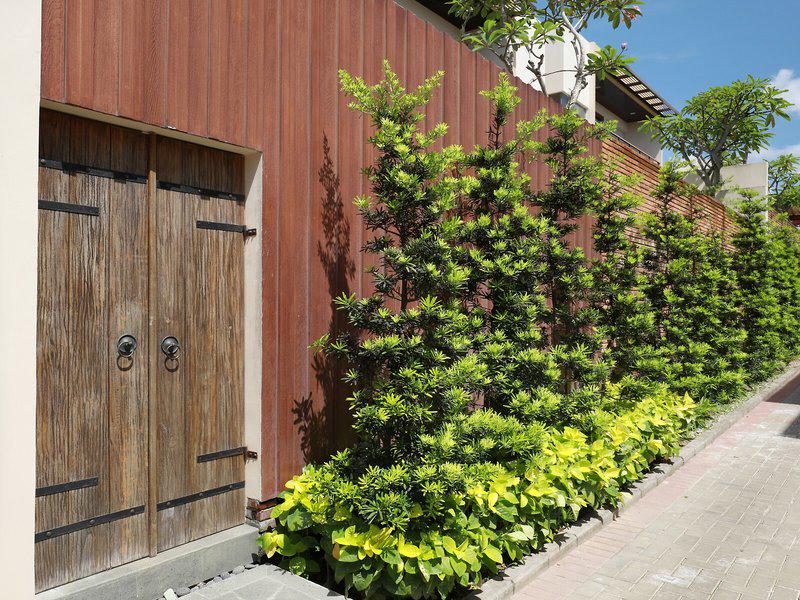 A24DBA1FDB83AA536C1BC708C229B6A7