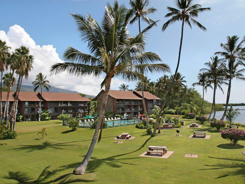 47CBAFCAFAB1E8ECE3F8B4D7694FCA12