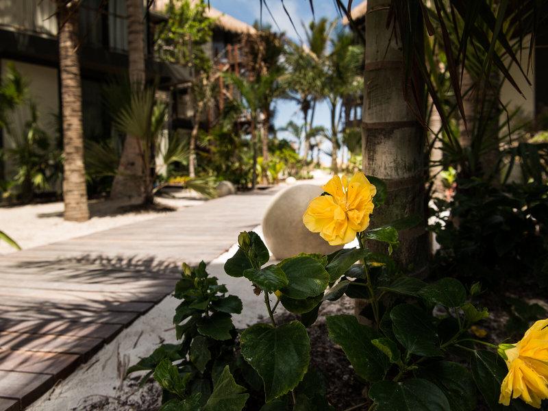 FC4D8097B6204593D0A30F590DE6F5F6