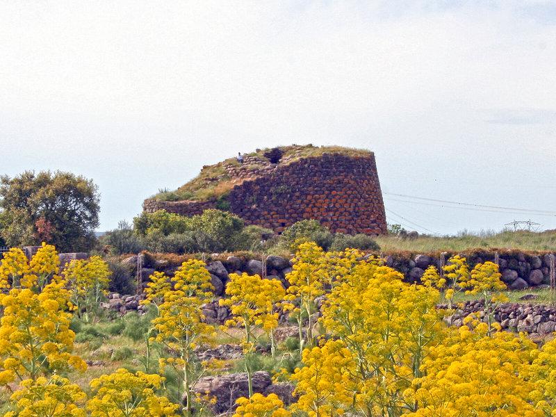 48BC4962DBE5EE223333DBB815F1575A