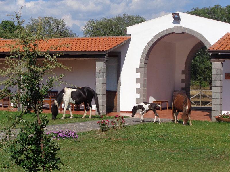 486090270F34F253B7C663F650F72B72