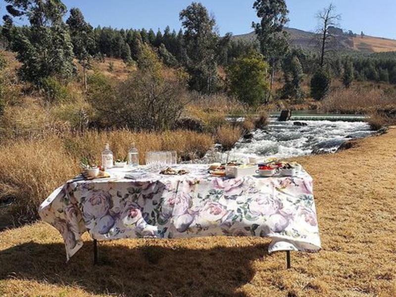 1D47D21A80C03A4C04A348A7B08AD05E