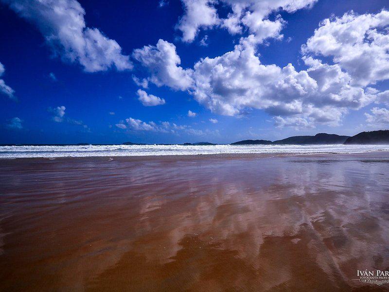 1D843682FC11D771C67B557D5CBFA63F