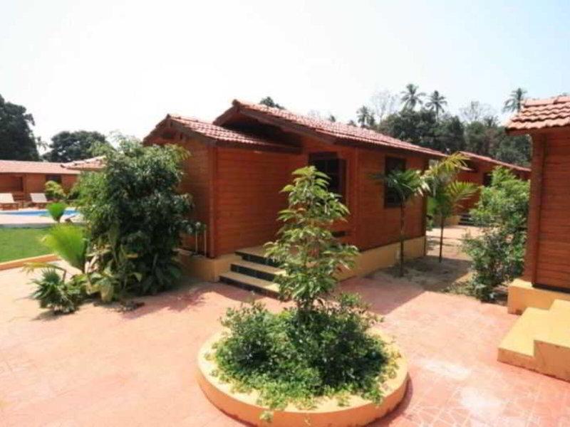 1479D580C10A25C53E0BC4E15AA218B7