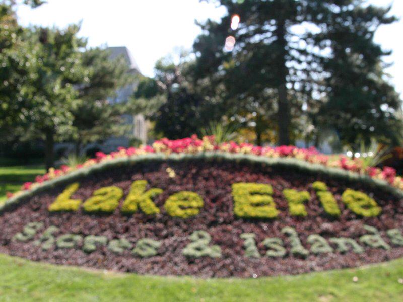 169E0EE62CFB5D63680524994C6D5BDC