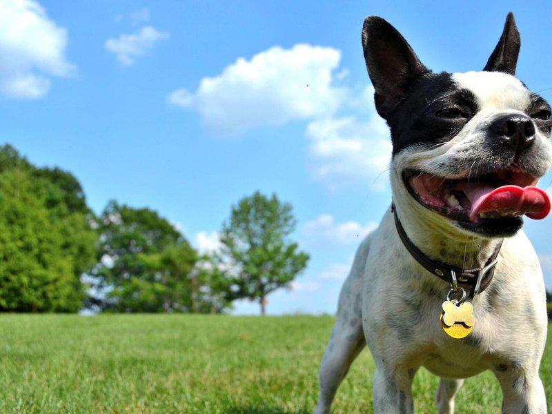 8D8751E3C53E9AEC04972F81805B2368