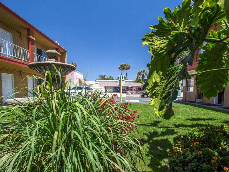 A9E6A12B3BE6515DFF4FA2AA1515B4DA