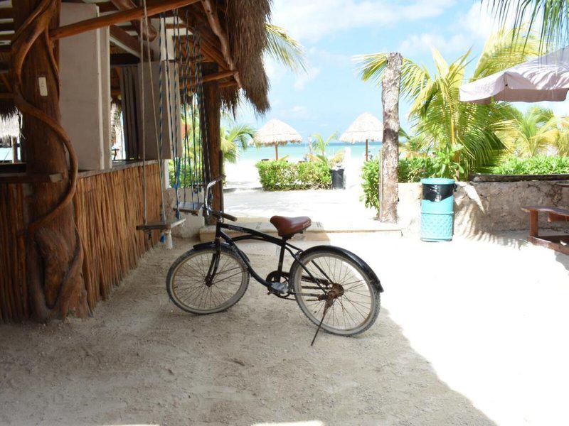 5D386ECB42E3A883731F895FF14C385F