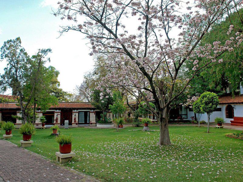 16088A8E707EB9DE532A904C0149EC7F